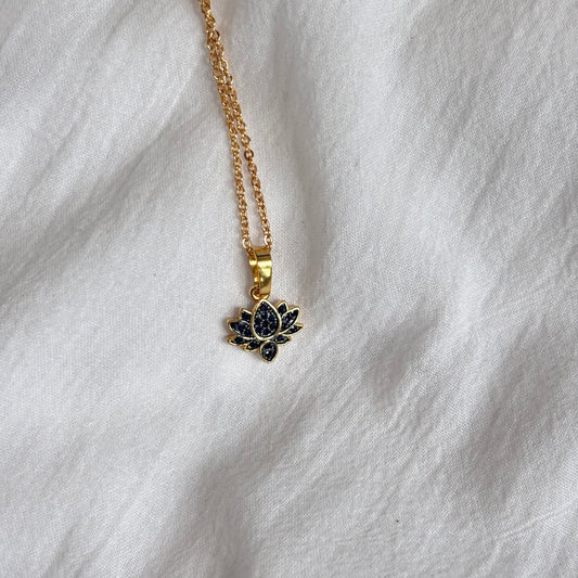 The Black Lotus
