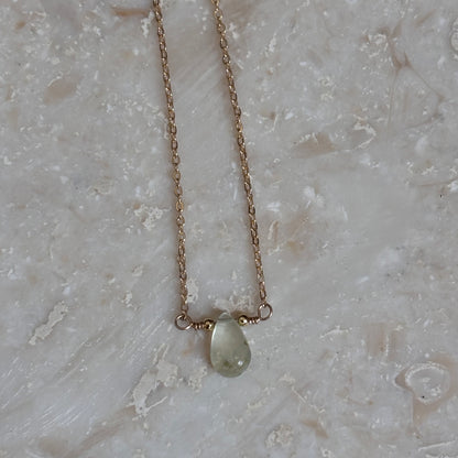 Forest Dewdrop