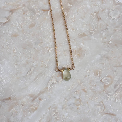 Forest Dewdrop